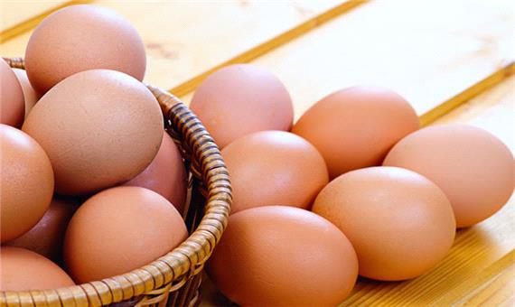 پلیمری زیستی برای افزایش ماندگاری تخم مرغ