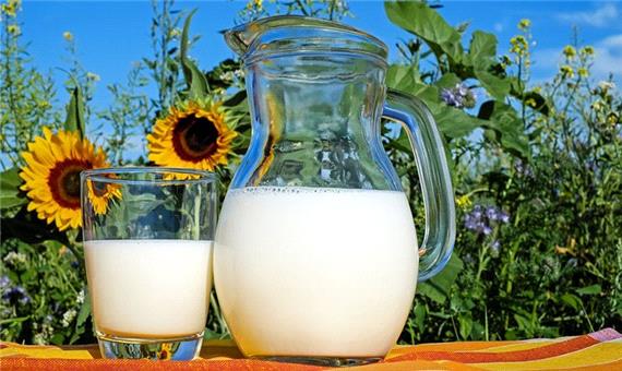 مطالعه جدید: مصرف منظم شیر باعث افزایش سطح کلسترول نمی‌شود