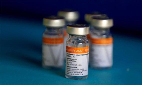 واکسن چینی کروناواک بیش از واکسن فایزر مرگ و میر ناشی از کووید را کاهش می‌دهد